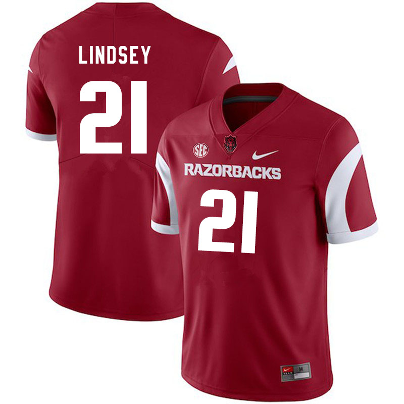 Men #21 Jack Lindsey Arkansas Razorbacks College Football Jerseys Sale-Cardinal